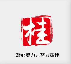 聚焦产业，努力援桂